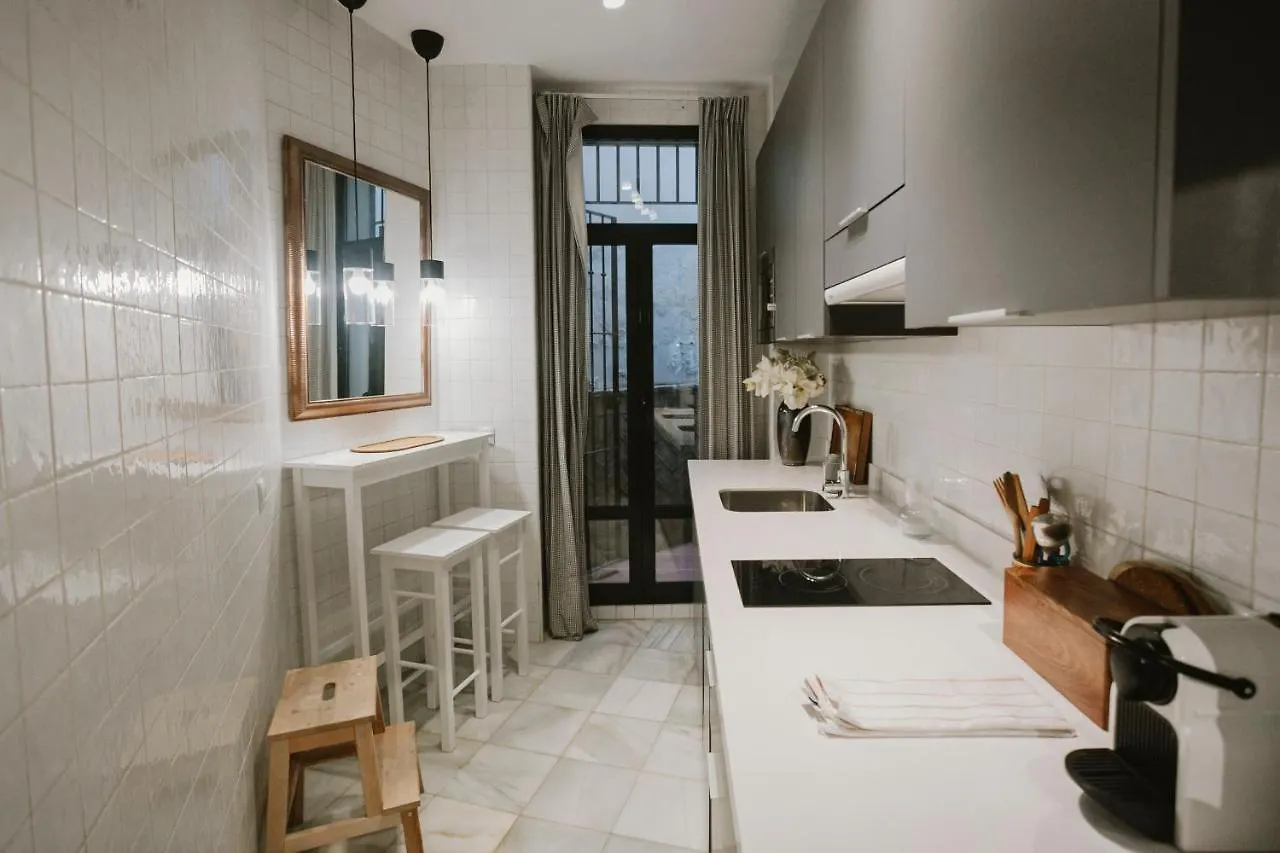 Tu Casa Con Patio En La Alameda Apartment Seville 0*,